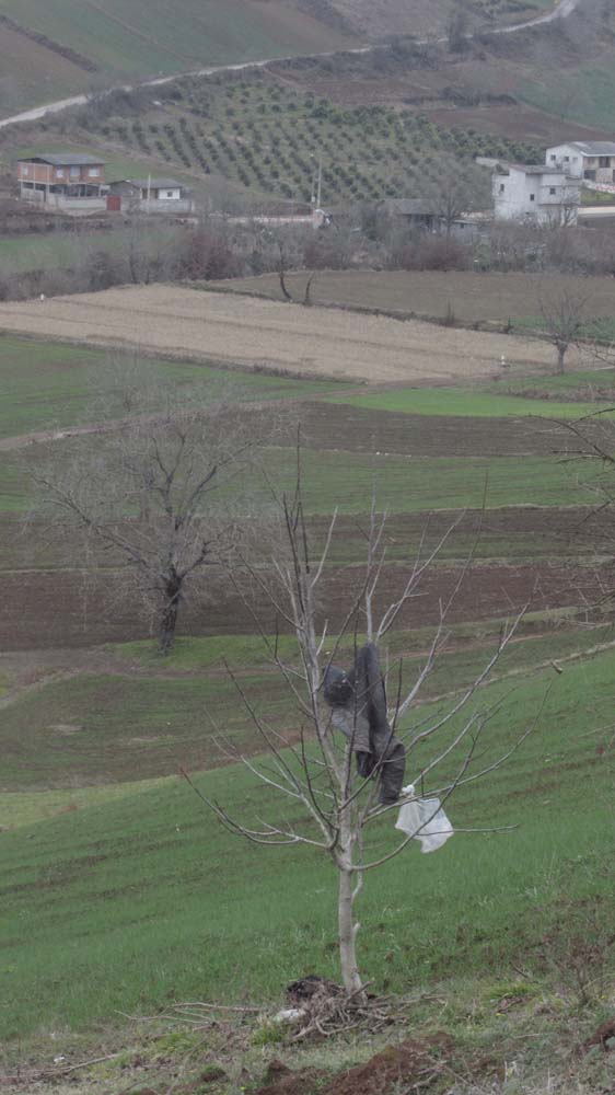 1_77_.JPG (562×1000)