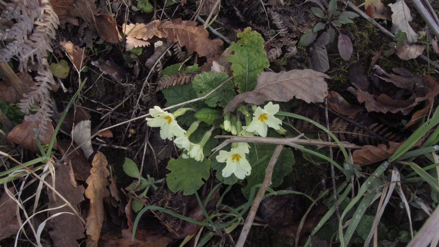 1_84_.JPG (1400×787)