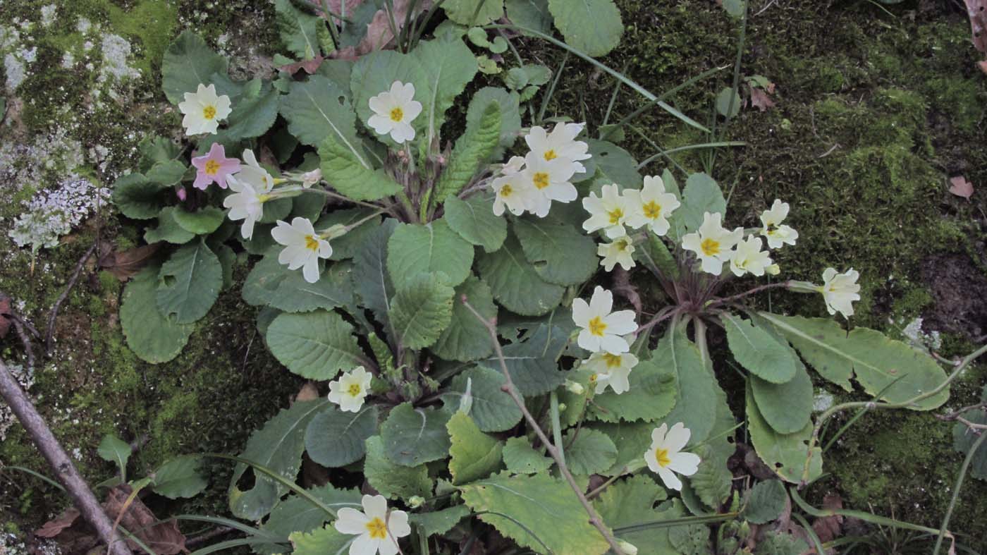 1_89_.JPG (1400×787)