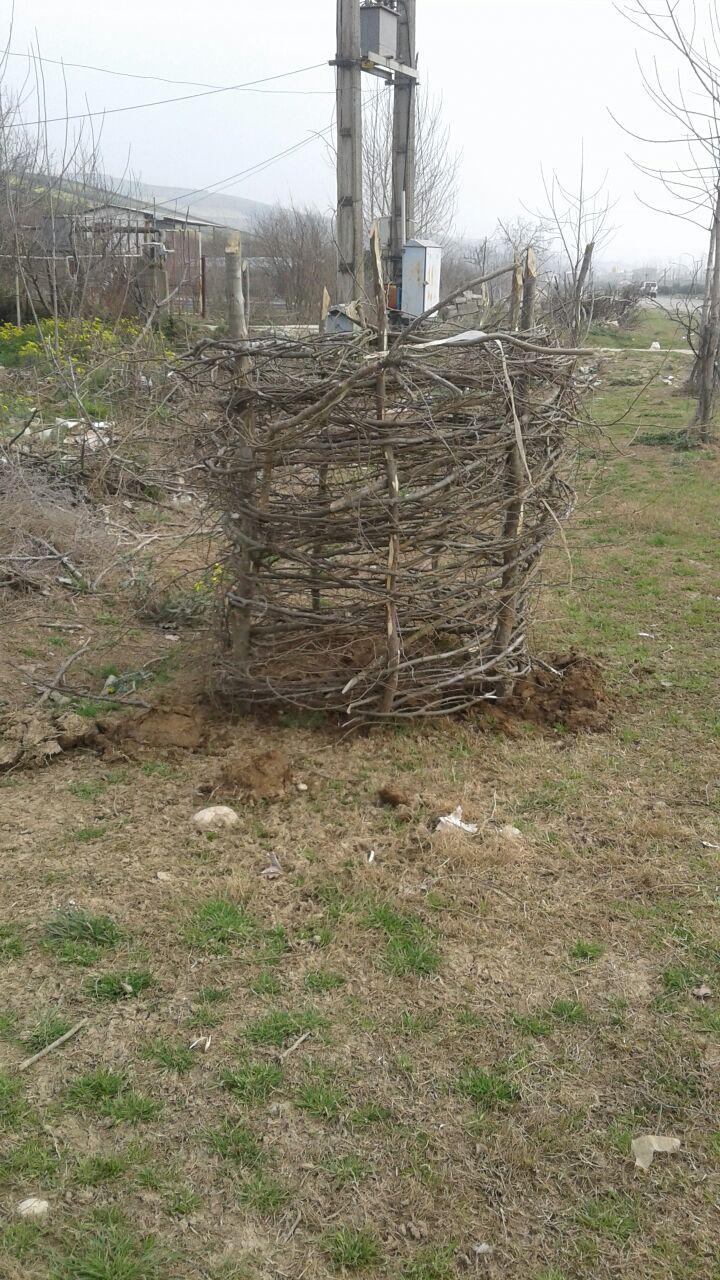 1_11_.jpg (720×1280)