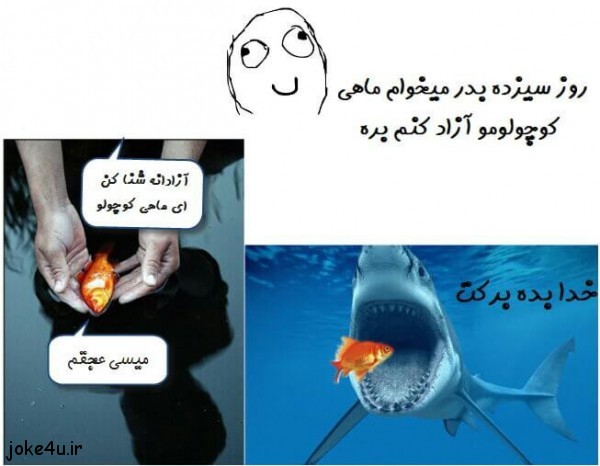 http://s5.picofile.com/file/8288909226/%D8%AA%D8%B1%D9%88%D9%84_%D9%85%D8%A7%D9%87%DB%8C_%D8%B9%DB%8C%D8%AF.jpg