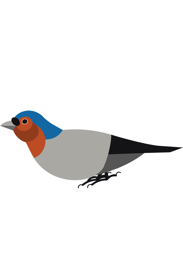 [تصویر:  bird.png]