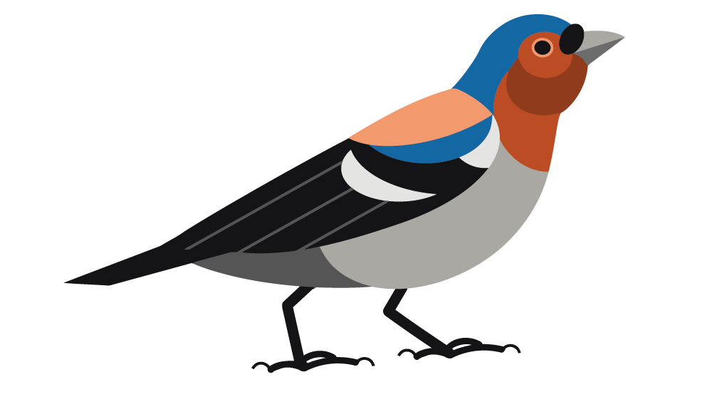 [تصویر:  birdidle.png]