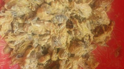 طرز تهیه ساندویچ مرغ - ساندویج تنوری داغ