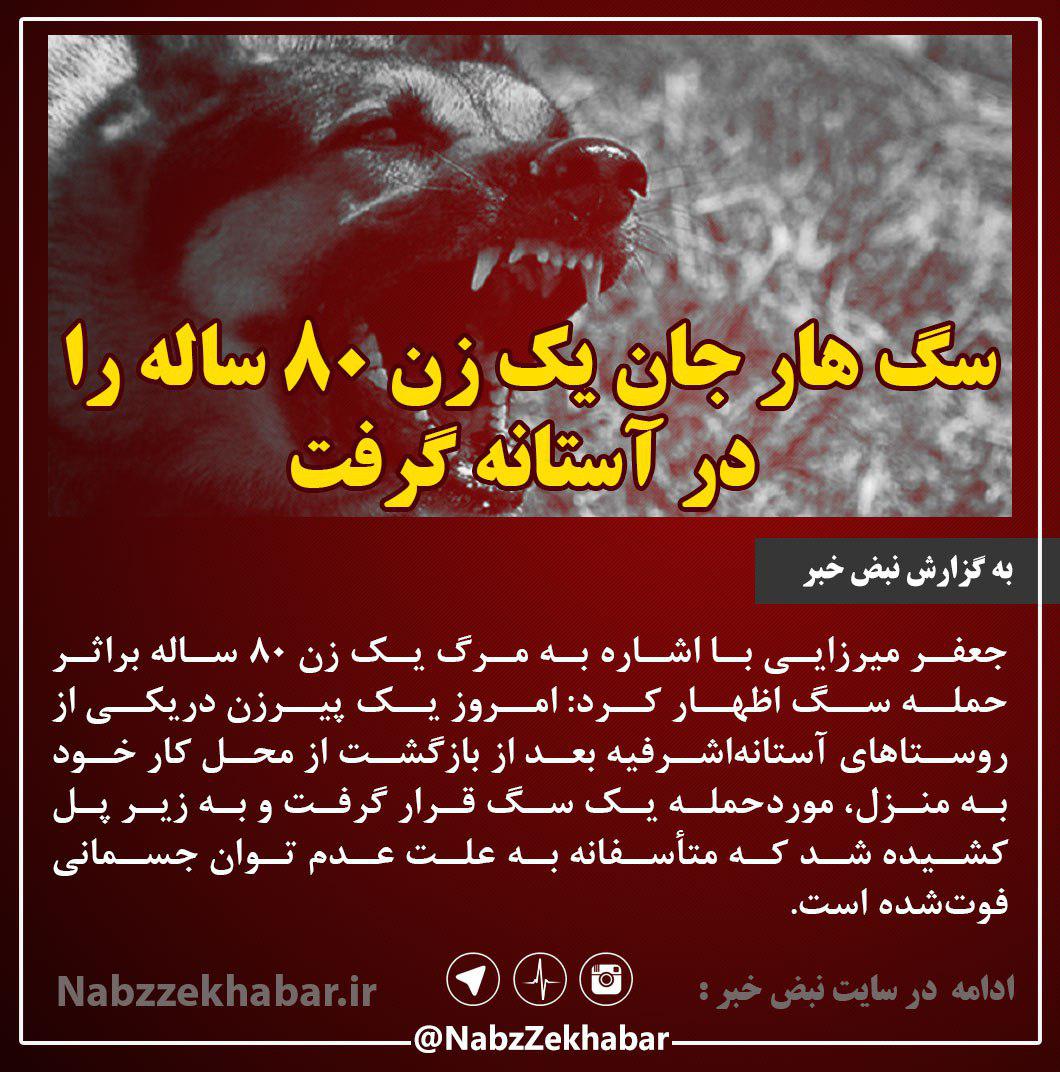سگ گرسنه یک زن را در آستانه اشرفیه زنده زنده خورد 1 photo 2019 09 24 08 14 36 2