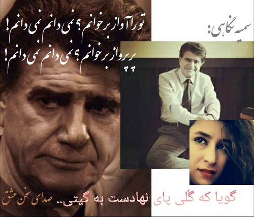 سمیه نگاهی