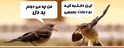 انتقاد از رابطه جنسی، نیاز اساسی دوام زندگی