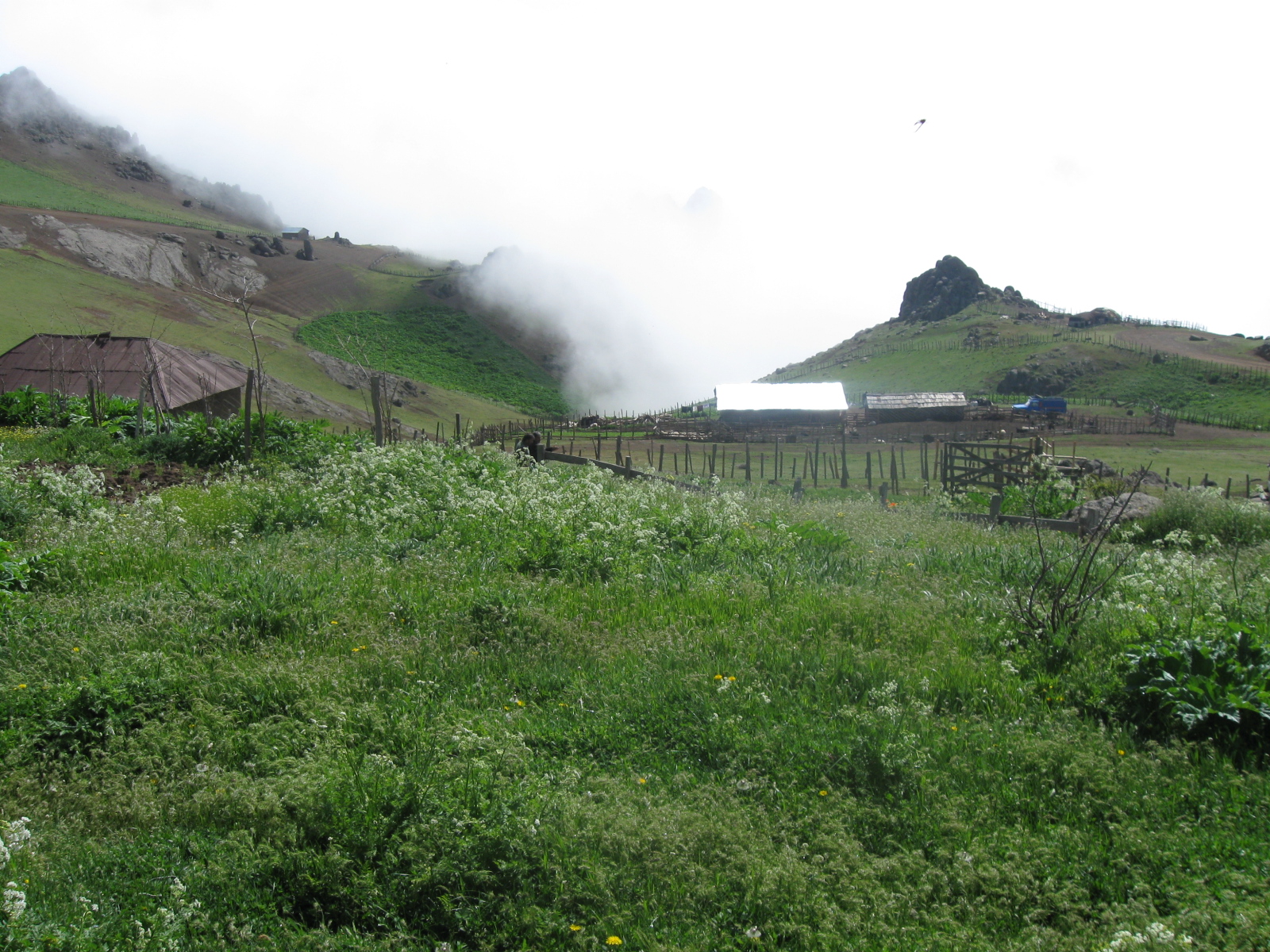 روستای خطبه سرا | بهترین روستاهای استان گیلان برای زندگی | می هتل؛ بهار گیلان